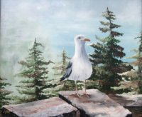 Seagull on the rocks at Acadia National Park