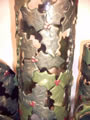 Detail of Holly